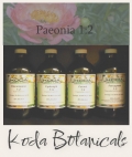 Paeonia (Peony) 1:2 Tincture